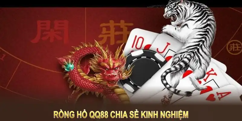 Rồng Hổ QQ88 chia sẻ kinh nghiệm hỗ trợ nâng cao hiệu quả