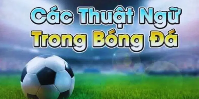 Thuật ngữ cho trận cược đỉnh cao tại kèo Châu Âu