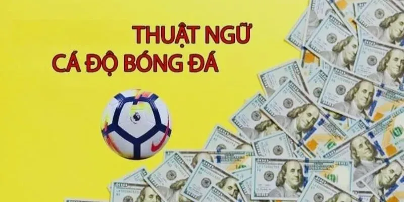 Thuật ngữ trong cá độ bóng đá nên được hiểu thế nào?